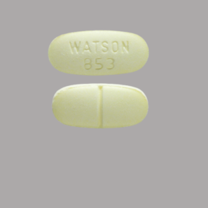 Hydrocodone 10/325 mg (Watson 853)